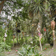 Illustration for article titled Take a tour through Mexico's island of creepy, mutilated dolls